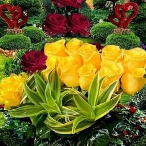 Meet your Posher, Morena